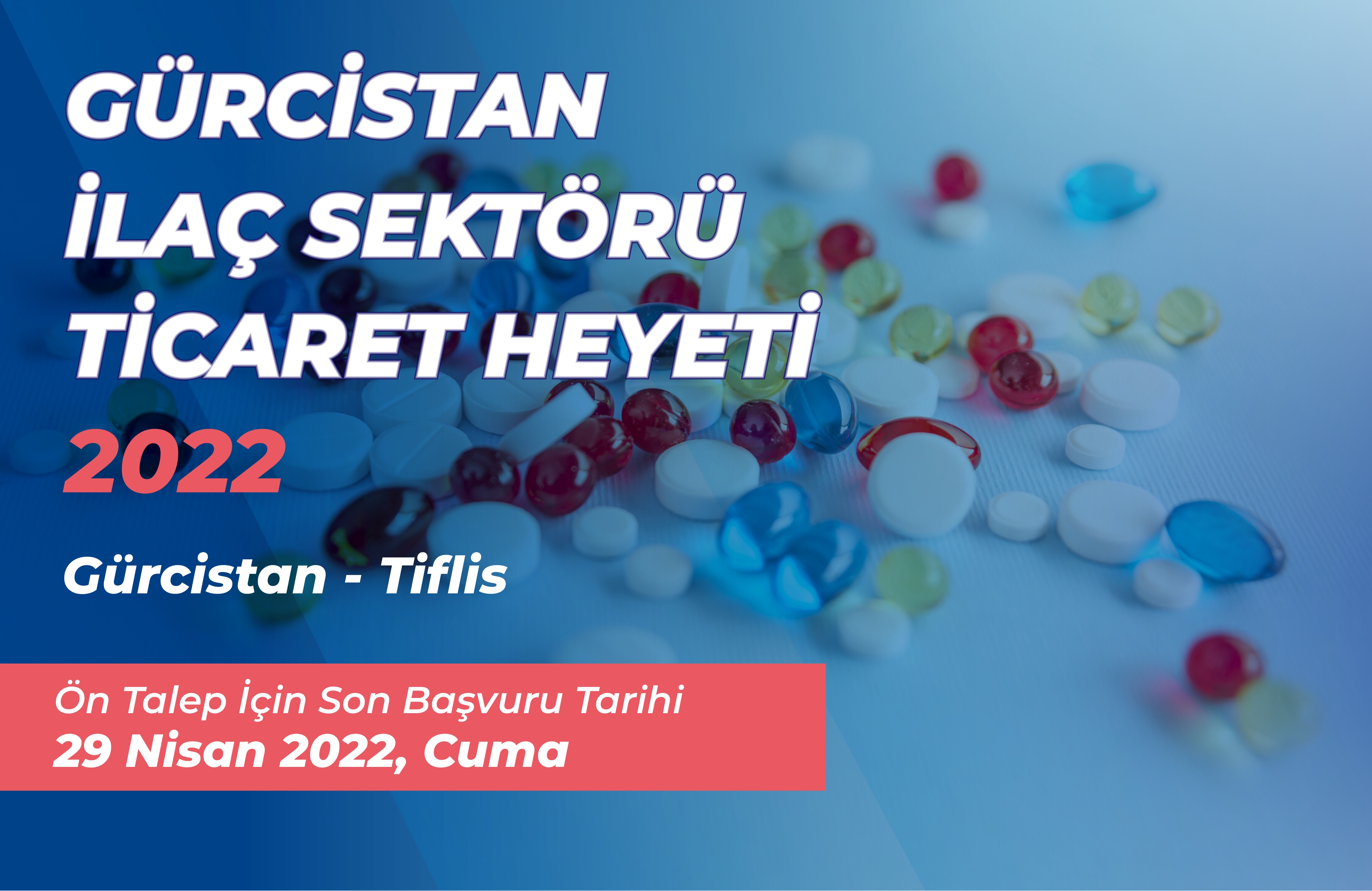 Gürcistan İlaç Sektörü Ticaret Heyeti